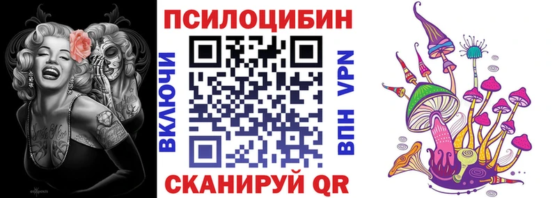 Псилоцибиновые грибы Cubensis  Челябинск 